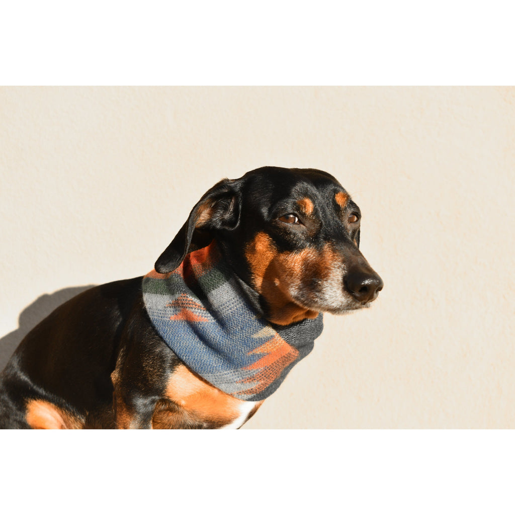 Écharpe pour Chien Sequoia