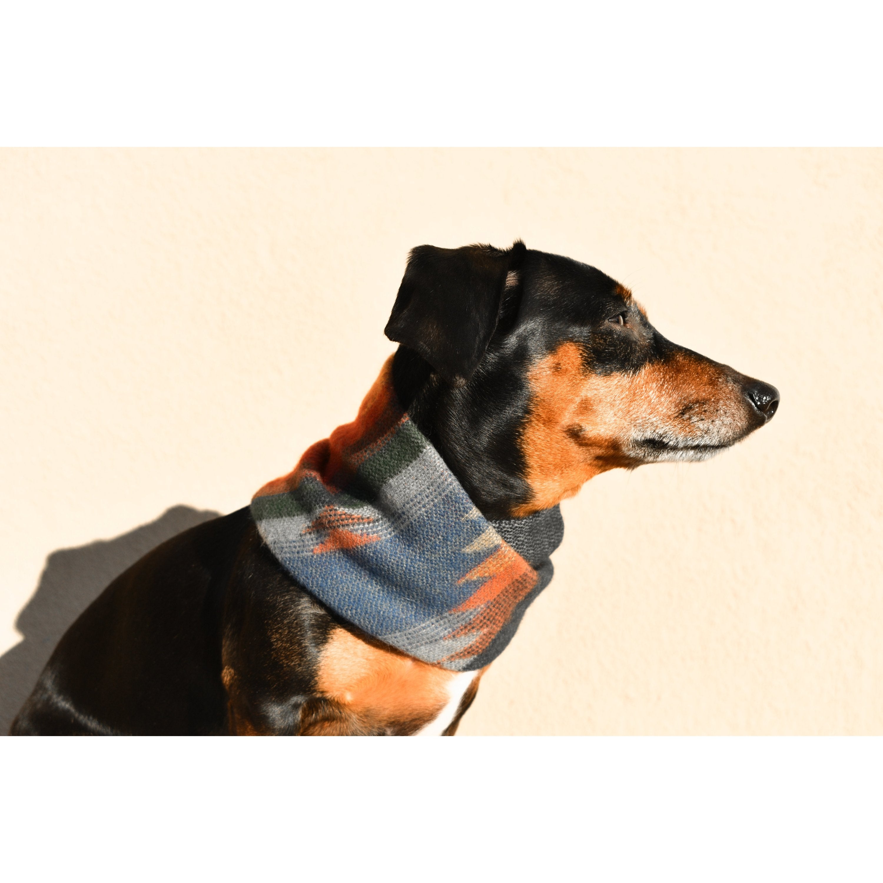 Écharpe pour Chien Sequoia