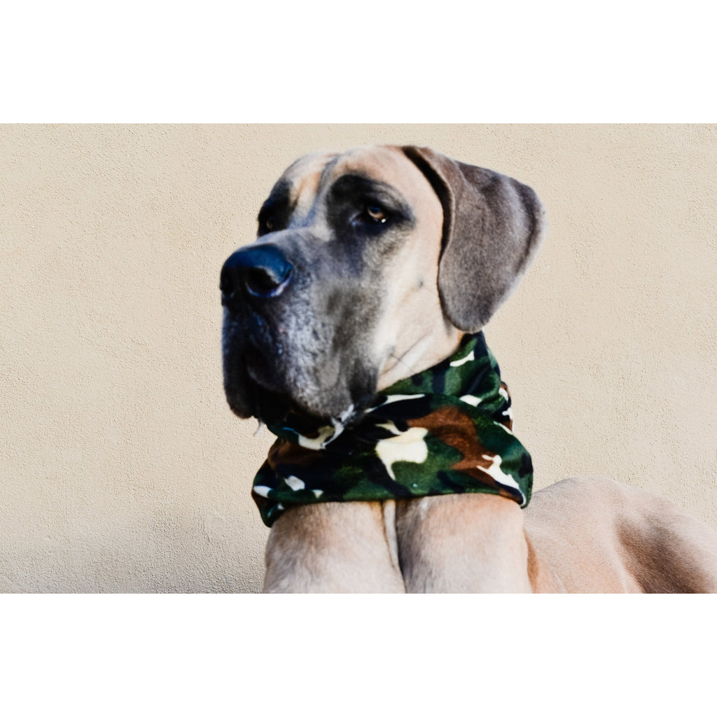 Écharpe camouflage pour chien