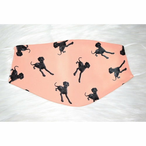 Masque de protection pour Grand Danois