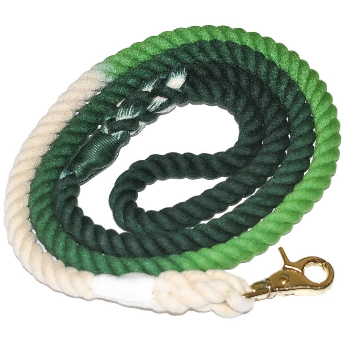 Aloe There - Chien Laisse