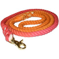 Laisse pour chien Sunkissed