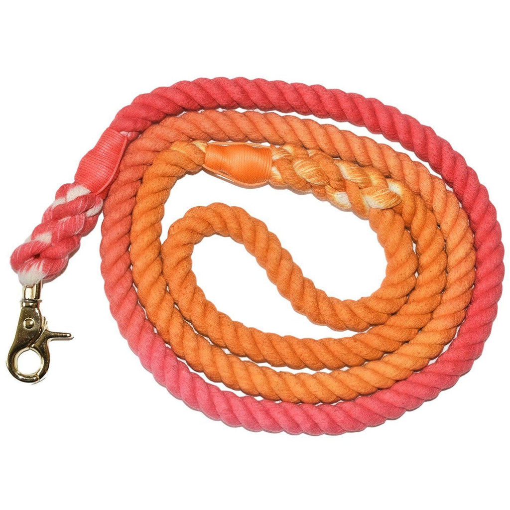 Laisse pour chien Sunkissed