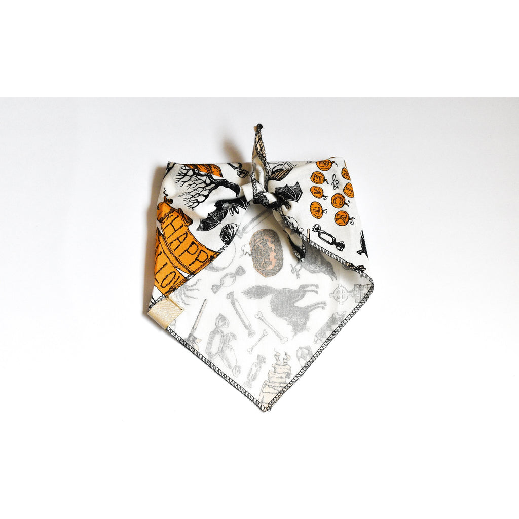 Bandana Halloween pour Chien