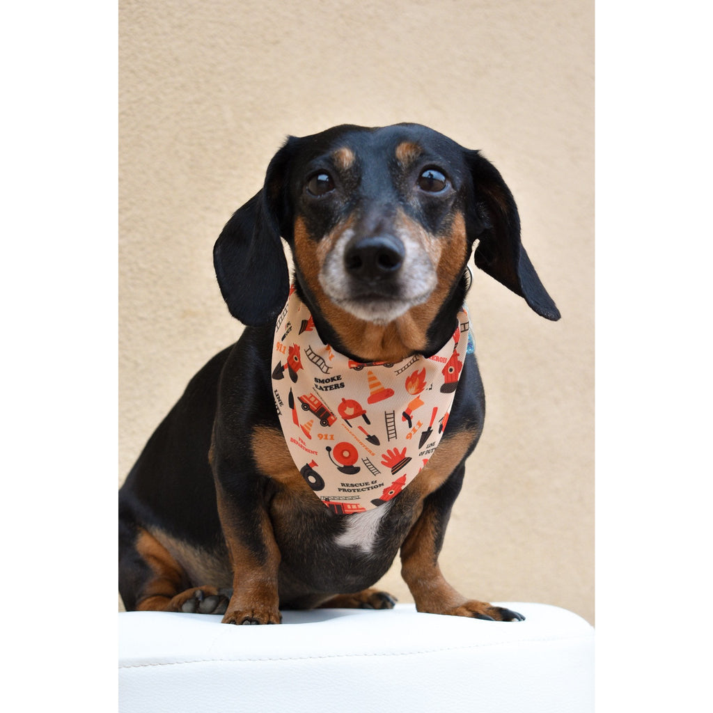 Bandana Chien Fire