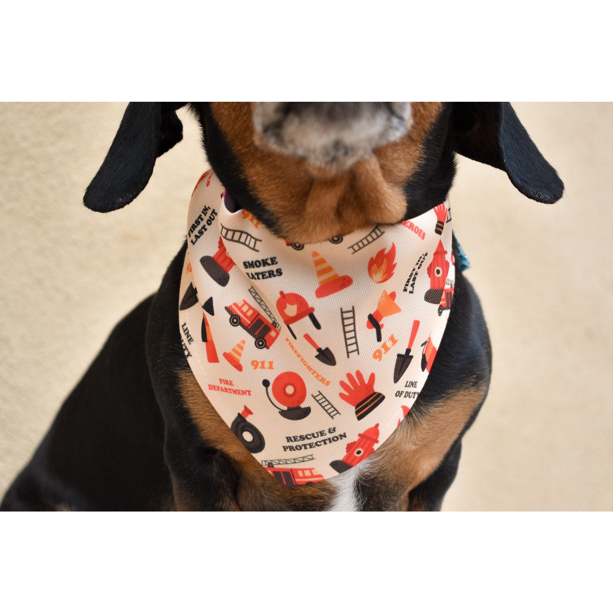Bandana Chien Fire