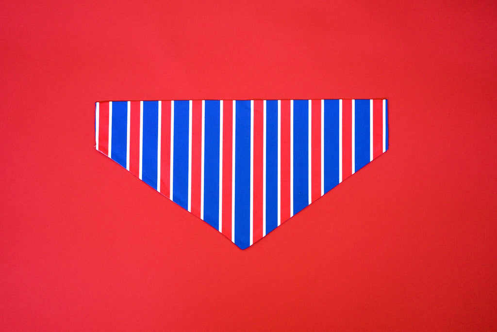 Bandana Rayée USA
