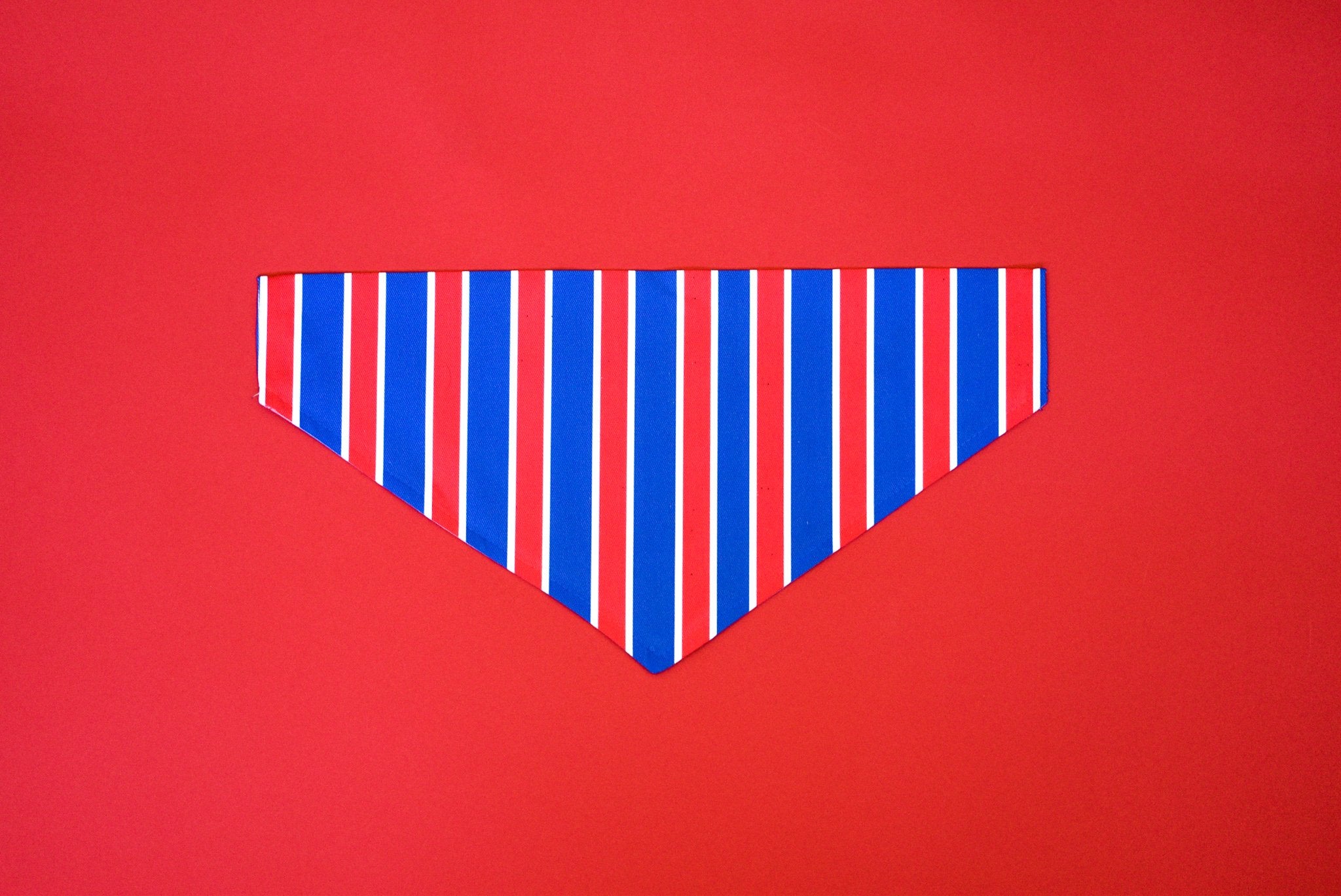 Bandana Rayée USA