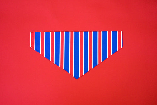 Bandana Rayée USA