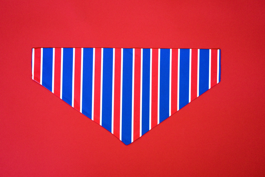 Bandana Rayée USA