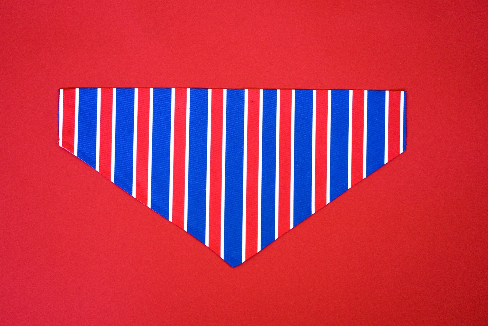 Bandana Rayée USA