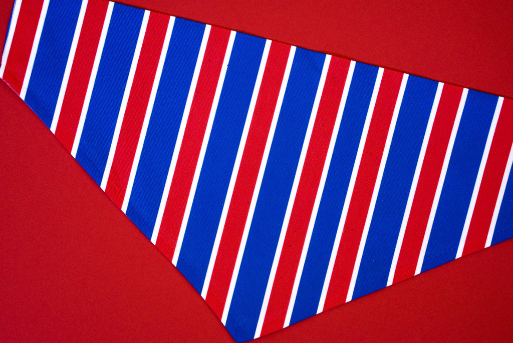 Bandana Rayée USA
