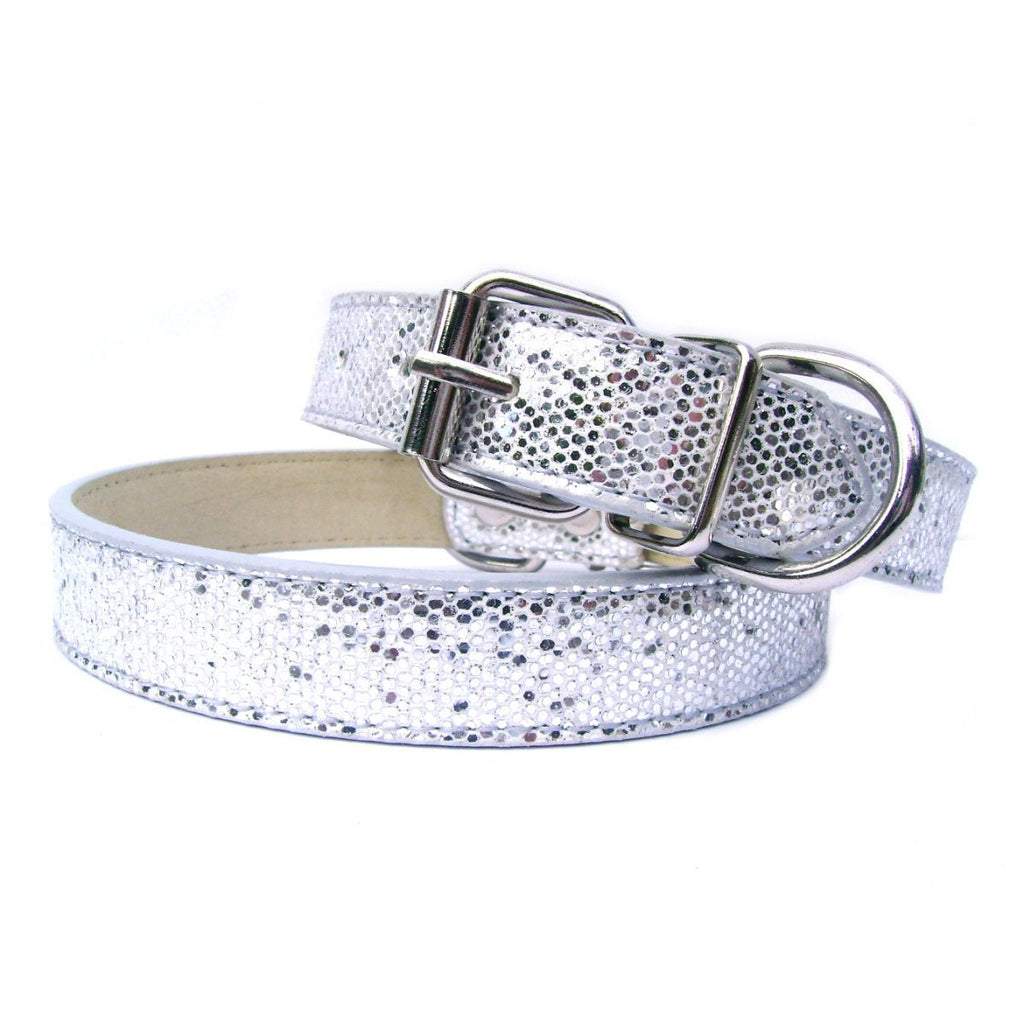 Collier Disco Fever pour Chien