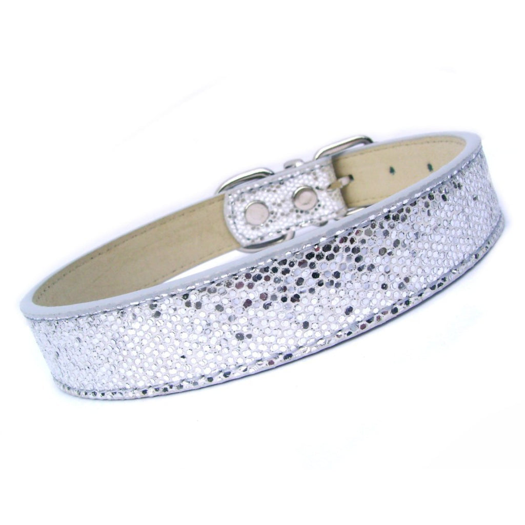 Collier Disco Fever pour Chien