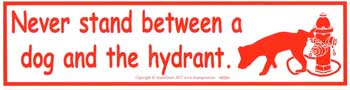 Ne vous mettez jamais entre un chien et un hydrant