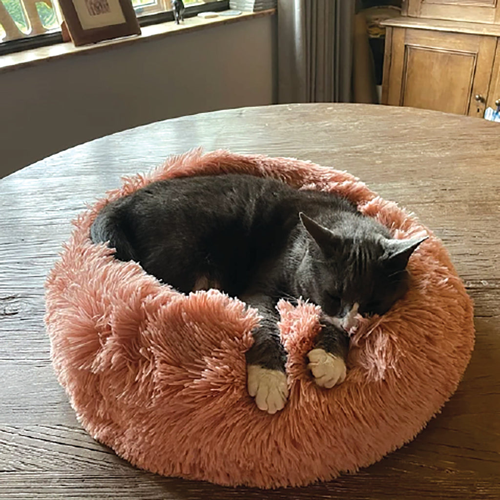 Lit donut apaisant chien & chat