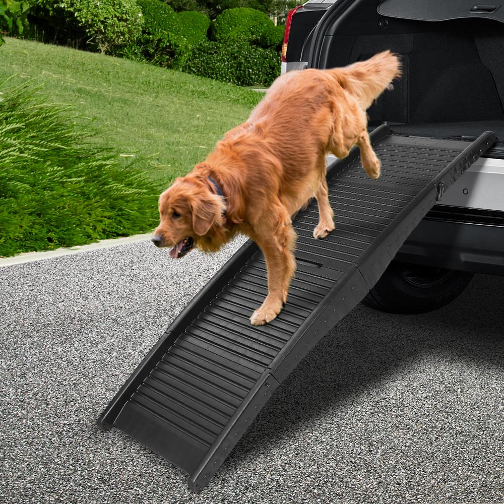 Rampe pour Chien Pliable i.Pet