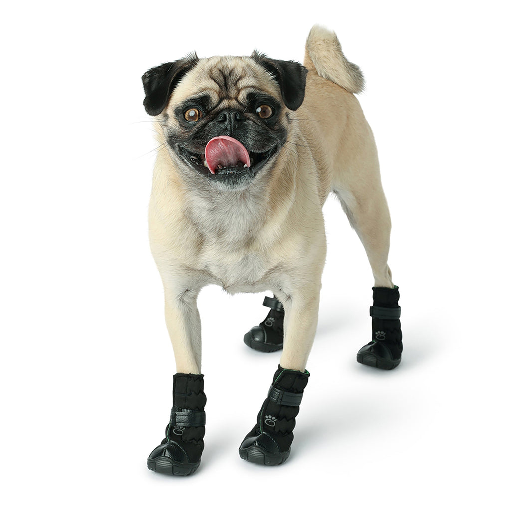 Bottes Élastiques pour Chien - Noires