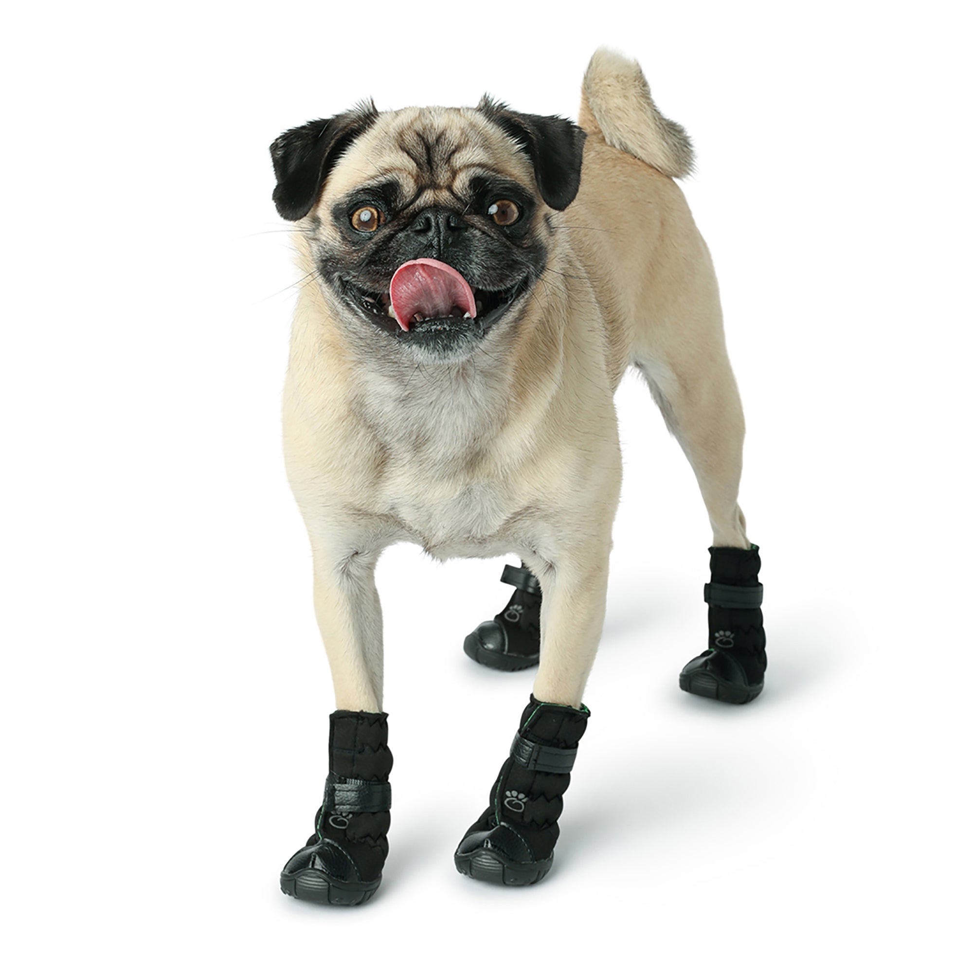 Bottes Élastiques pour Chien - Noires
