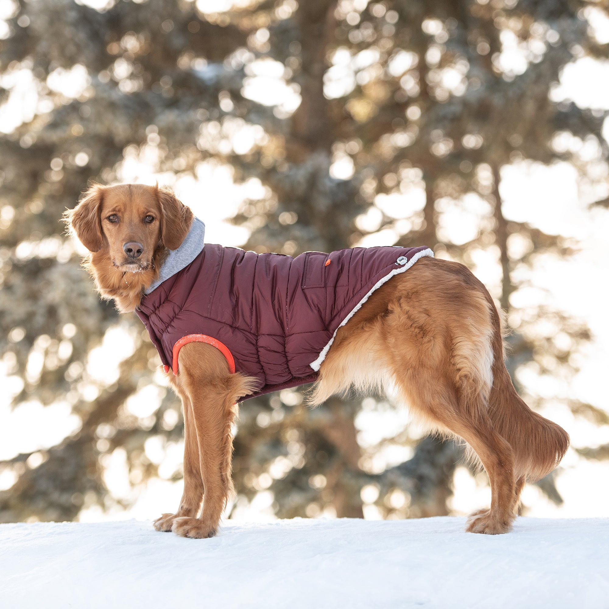 Parka d'hiver marine - Bourgogne