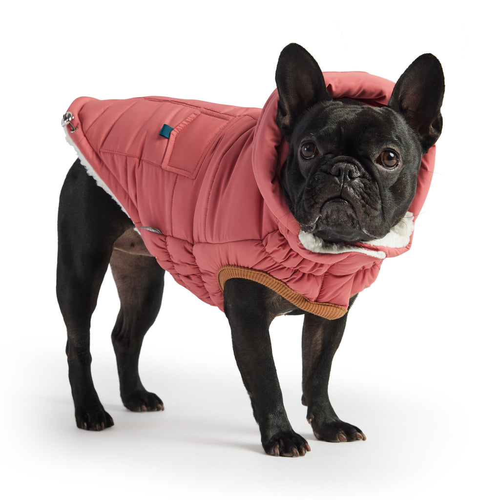 Le Parka Bouffant - Rose