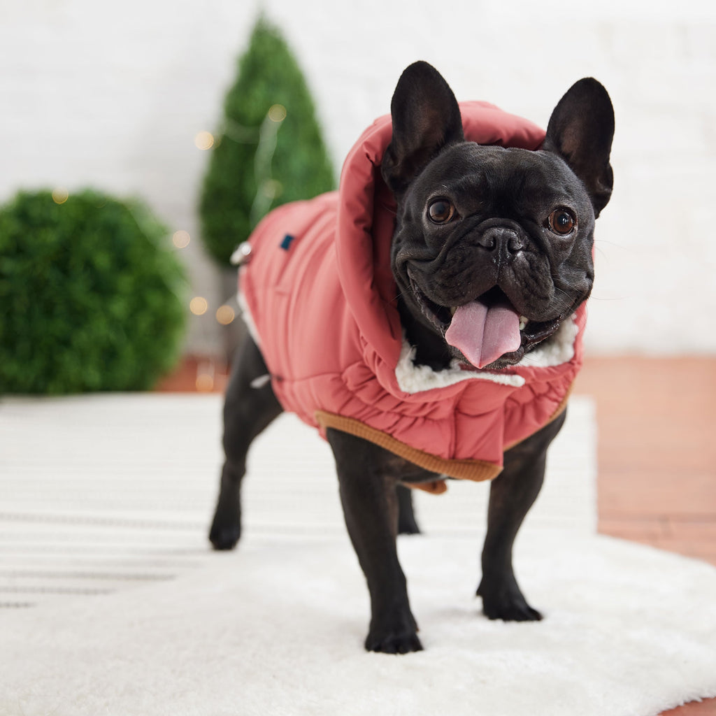 Le Parka Bouffant - Rose