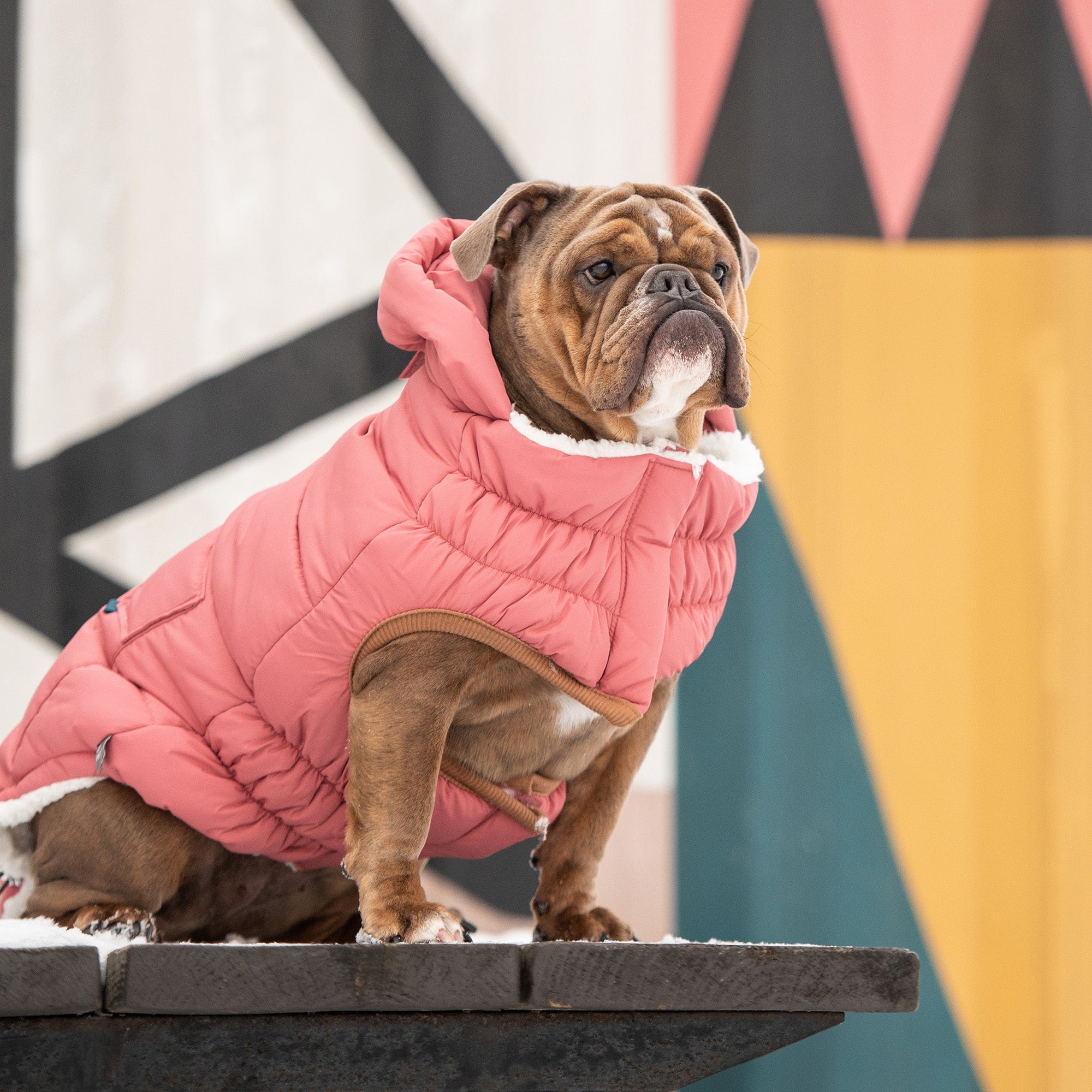 Le Parka Bouffant - Rose