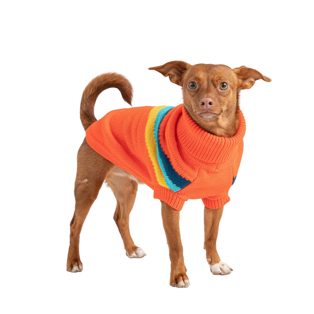 Pull Alpin pour chien - Orange