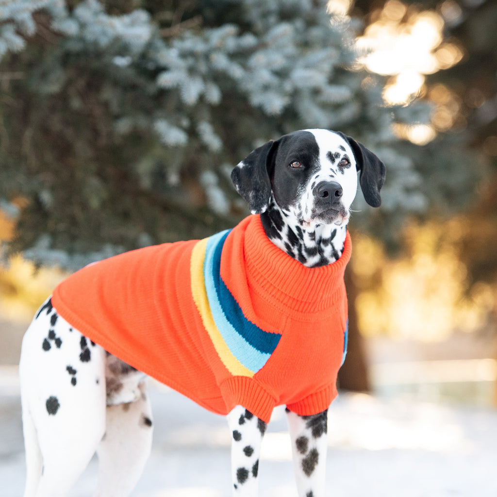 Pull Alpin pour chien - Orange