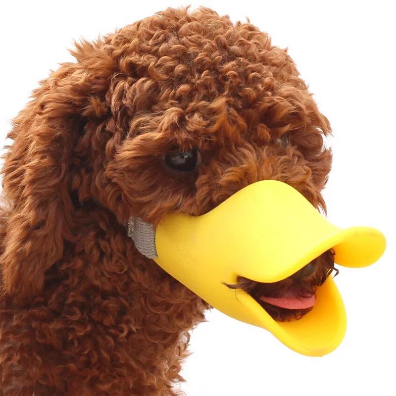 Masque en silicone pour canard pour chiens (petits chiens)
