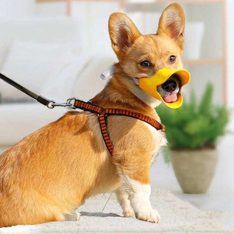 Masque en silicone pour canard pour chiens (petits chiens)