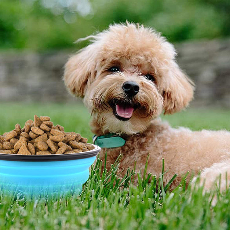 Gamelle pliable silicone pour chien - 350 ml