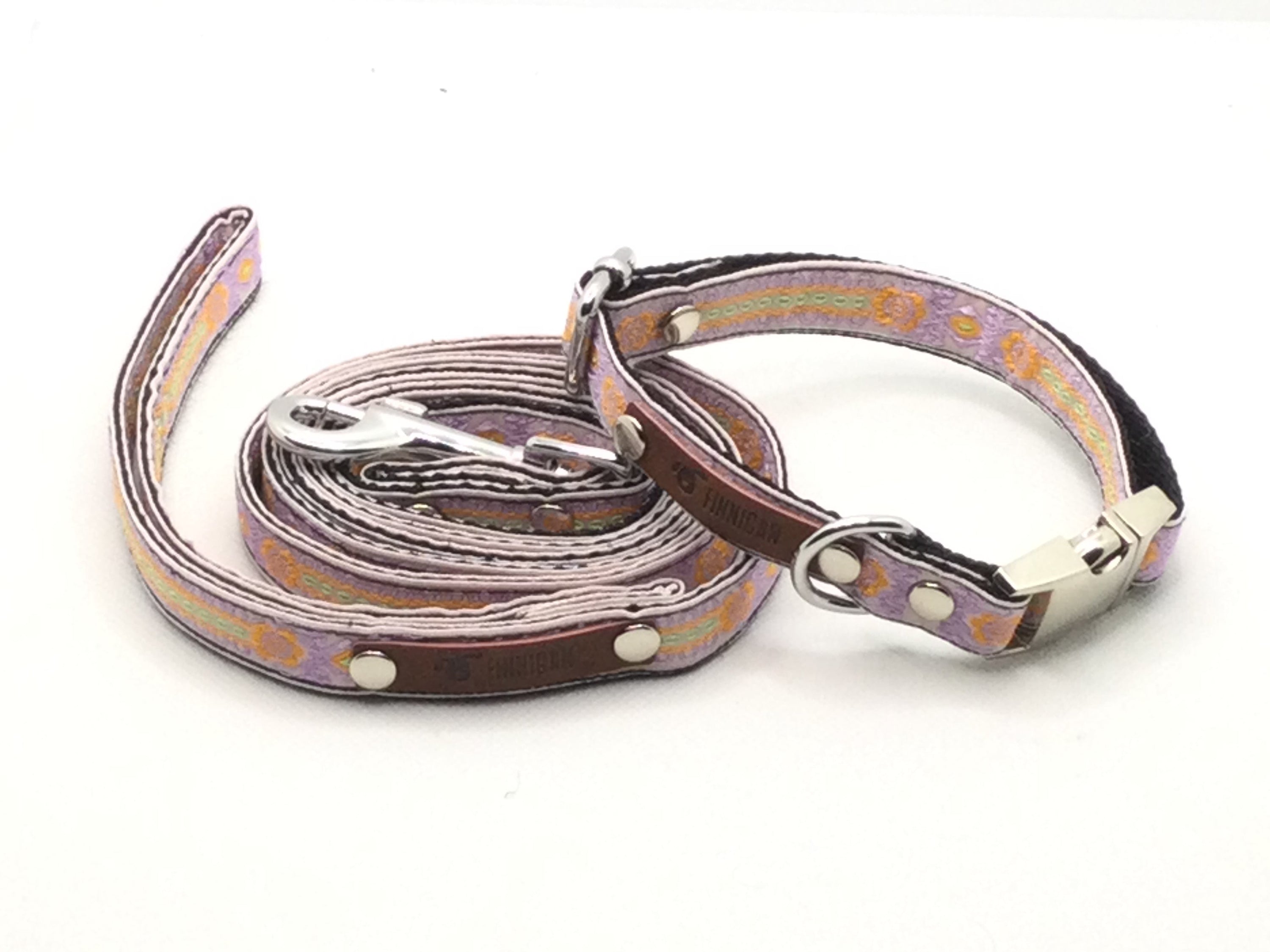 Collier Chien Personnalisé pour Petits Chiens