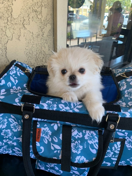 312 Hideaway™ Duffel - Animal Transport