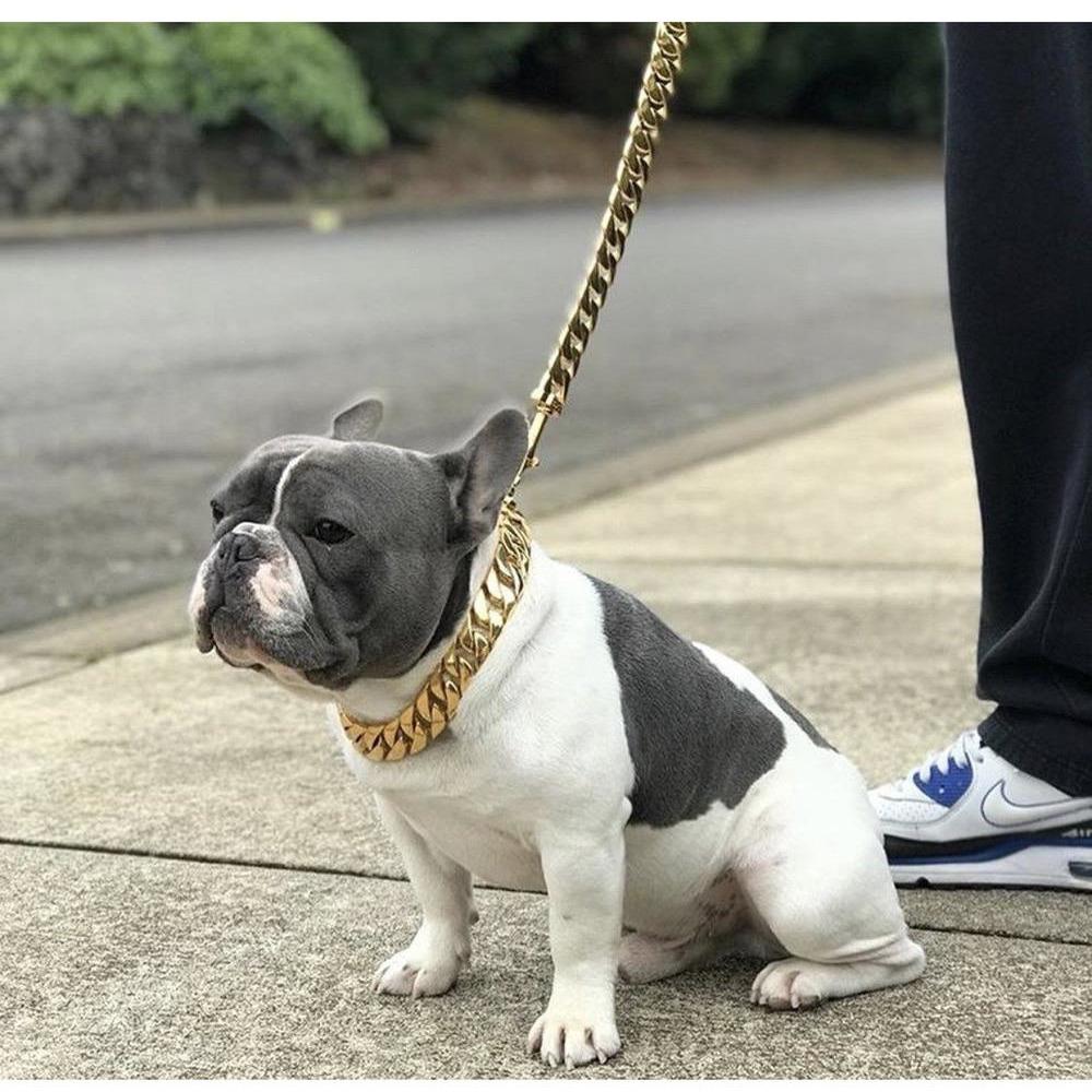 Kilo Cuban Link | Laisse