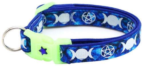 Familiar de Sorcière sur Collier de Chat Saphir