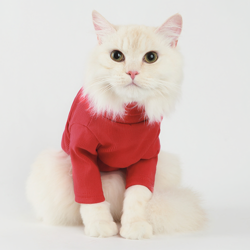 Col roulé rouge pour animaux