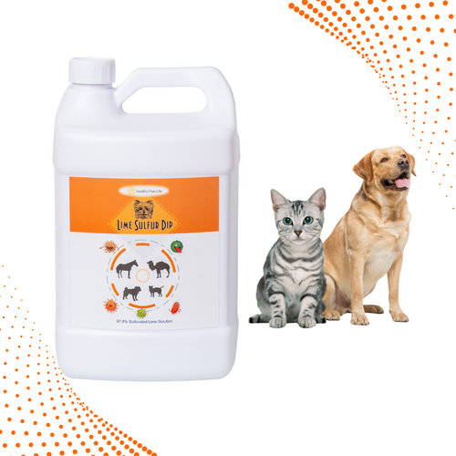 Bain au Soufre de Chaux – Solution Concentrée pour Peau Irritée