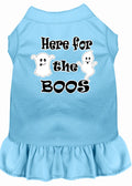 Robe Chien Ici pour le Boos - Bleu Bébé