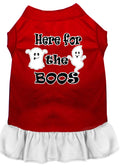 T-shirt Chien Ici pour le Boos - Rouge et Blanc