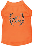 T-shirt Chien 'Il est Ressuscité' - Orange
