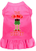 Robe Chien The Elf Did It
