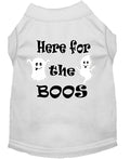 T-shirt Chien Here pour le Boos - Blanc