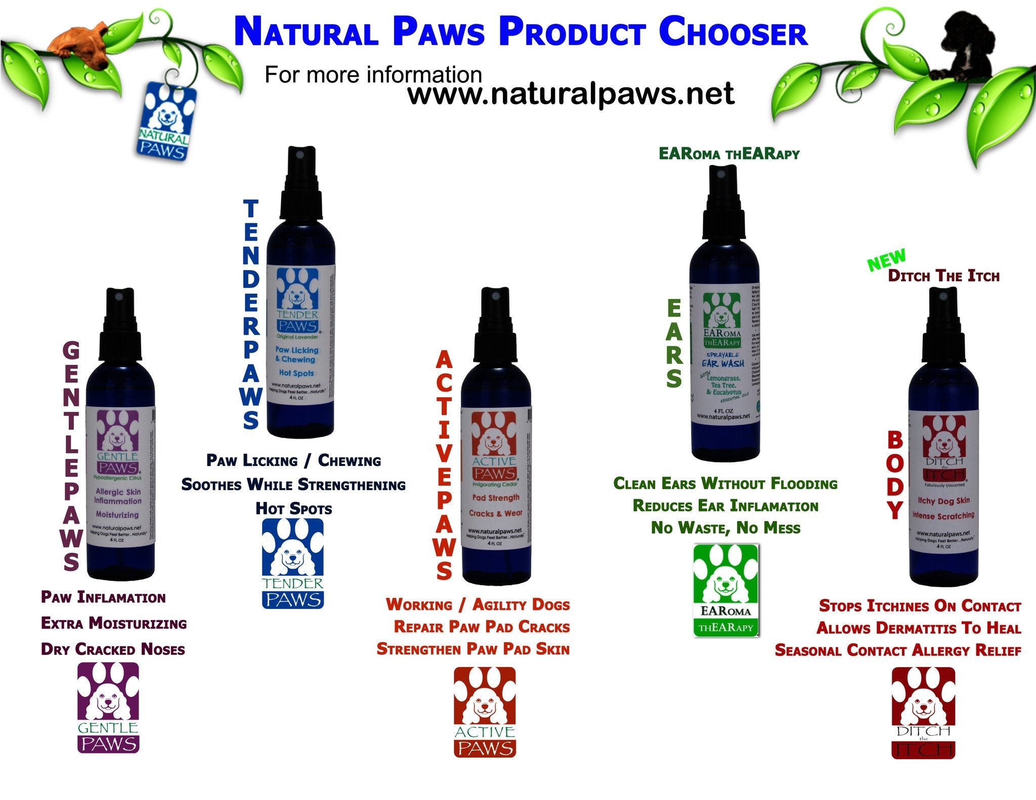 Spray pour Pattes Actives