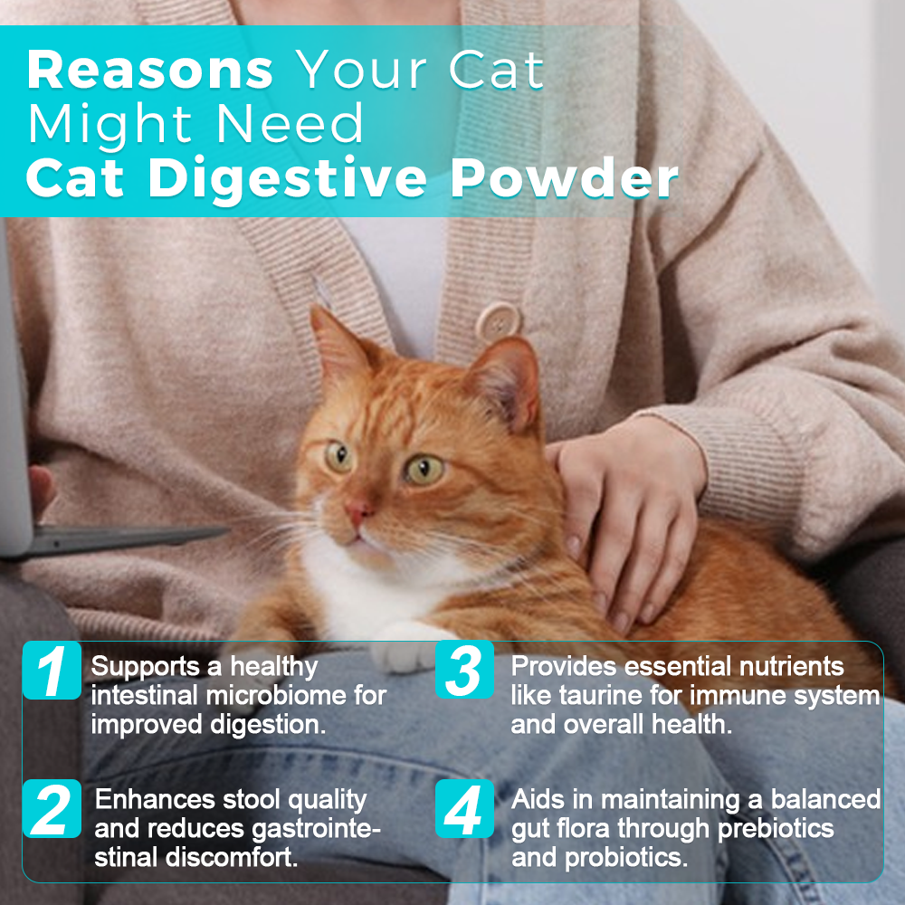 Poudre Digestive pour Chat