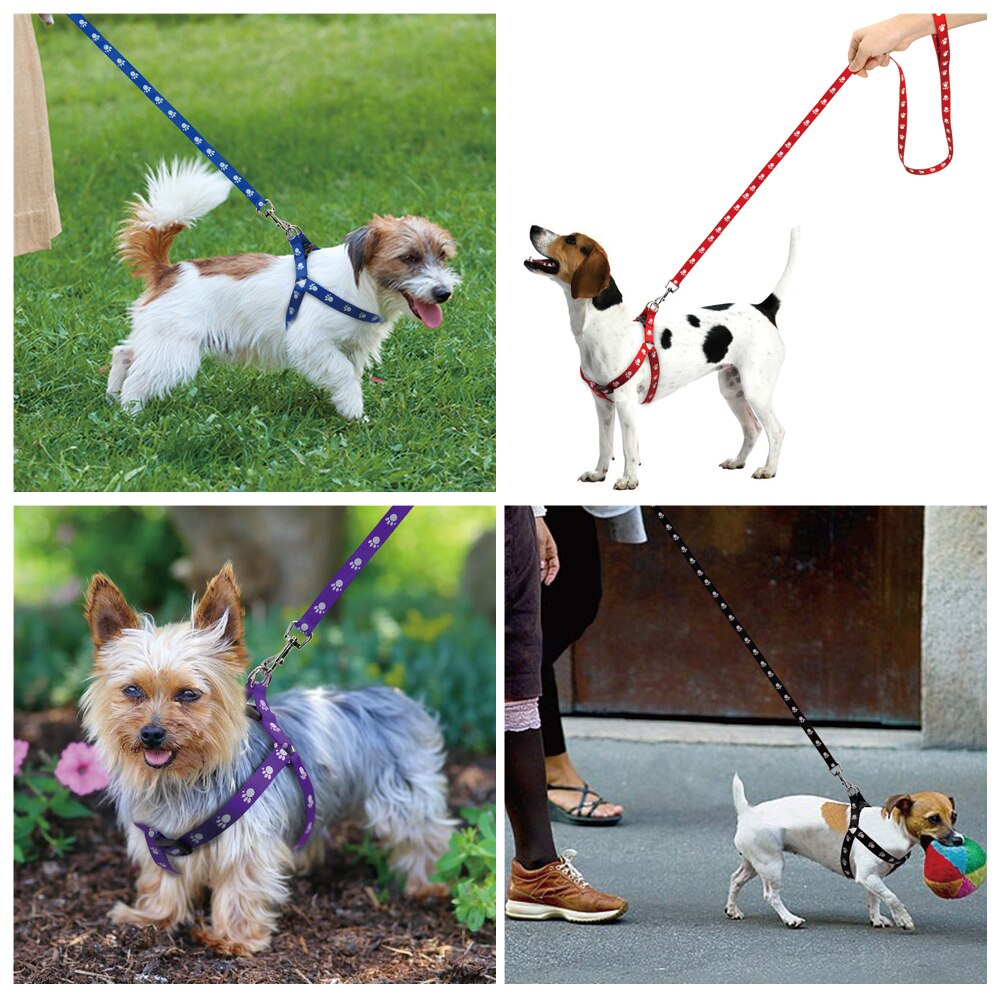 Harnais et laisse en nylon réglables pour chien