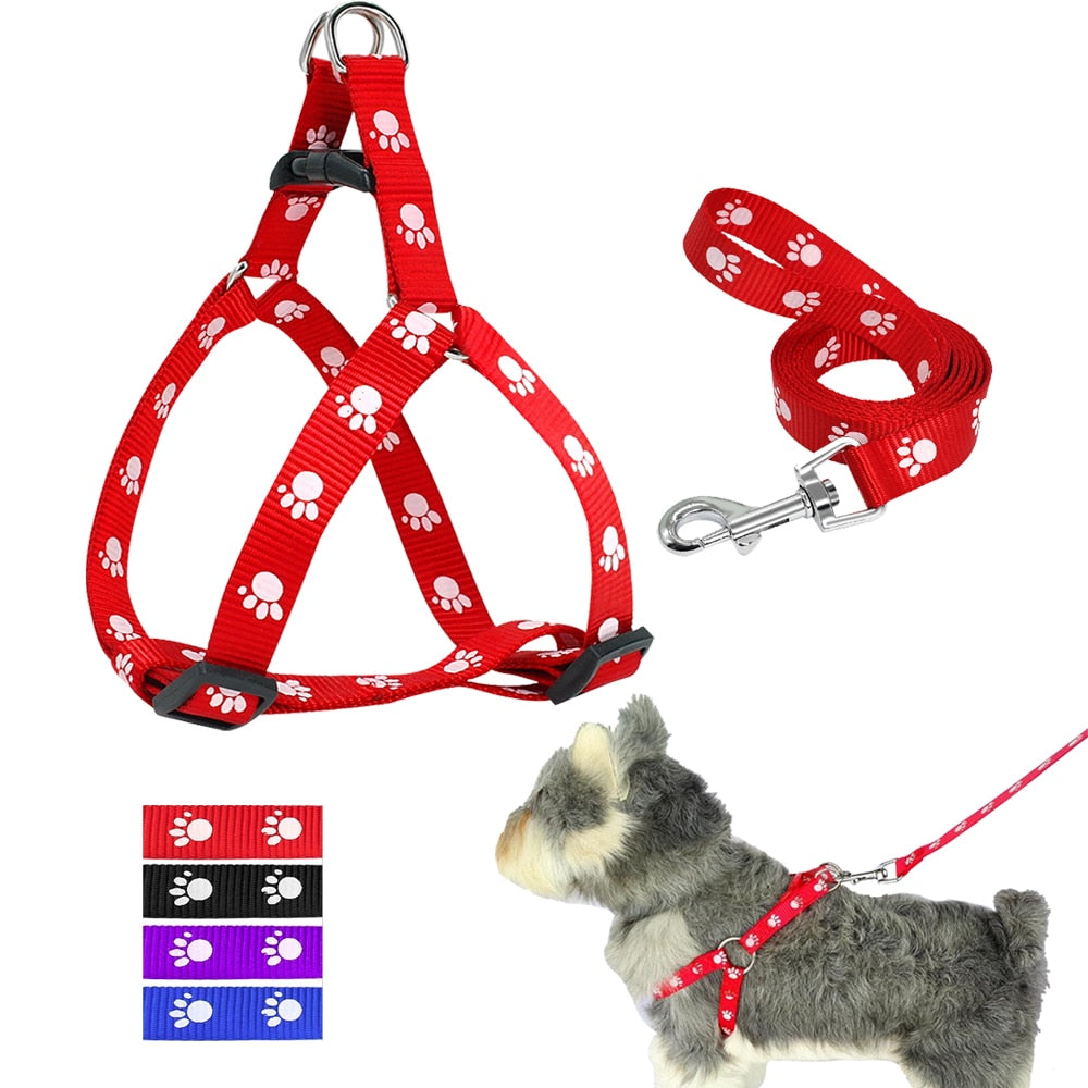 Harnais et laisse en nylon réglables pour chien