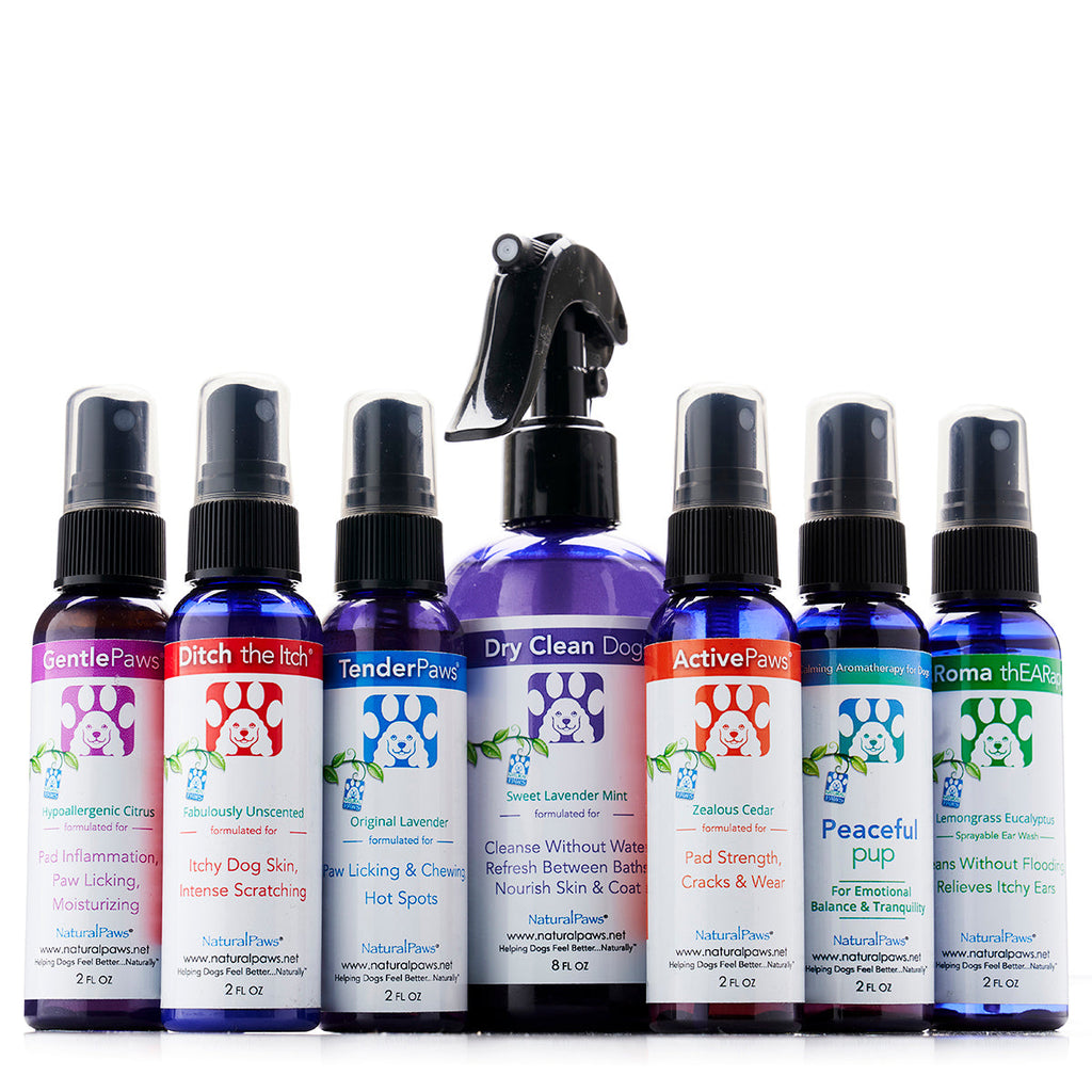 Spray pour Pattes Actives