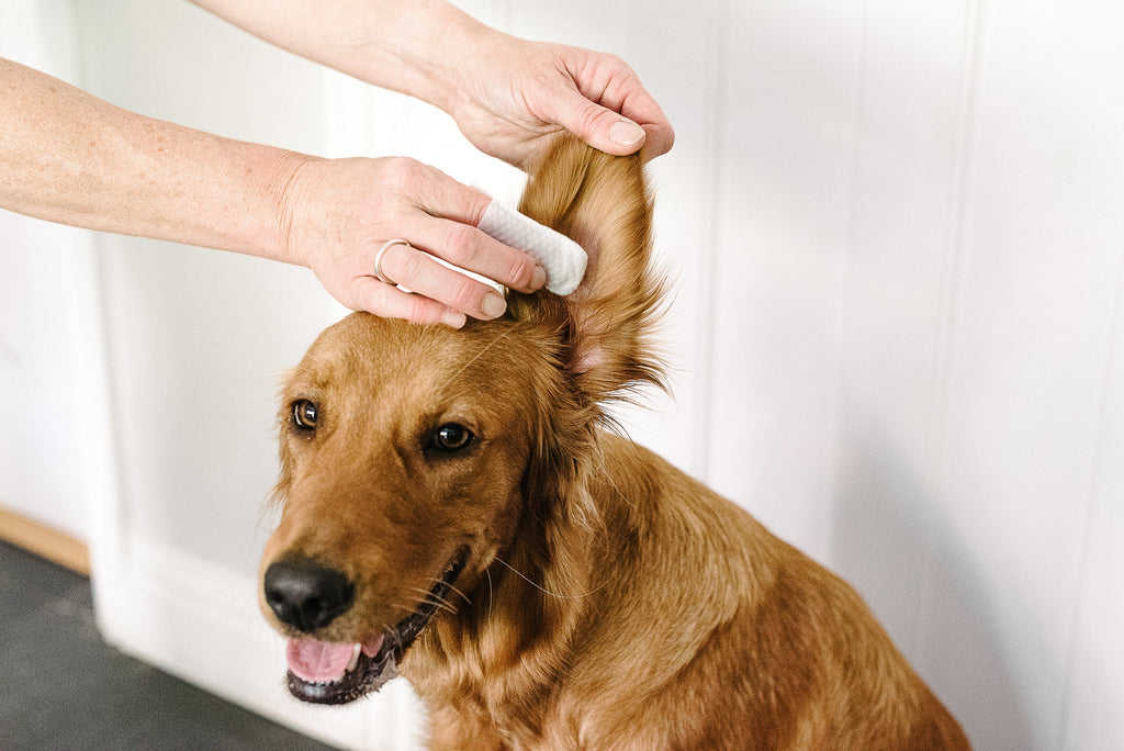 Lingettes Auriculaires pour Chiens & Chats