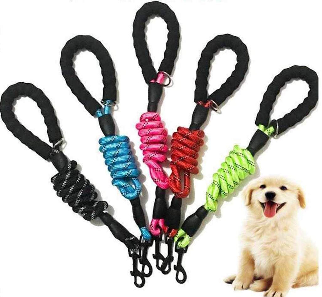 6 FT Chien Laisse pour Grand et Moyen Dogs-Black